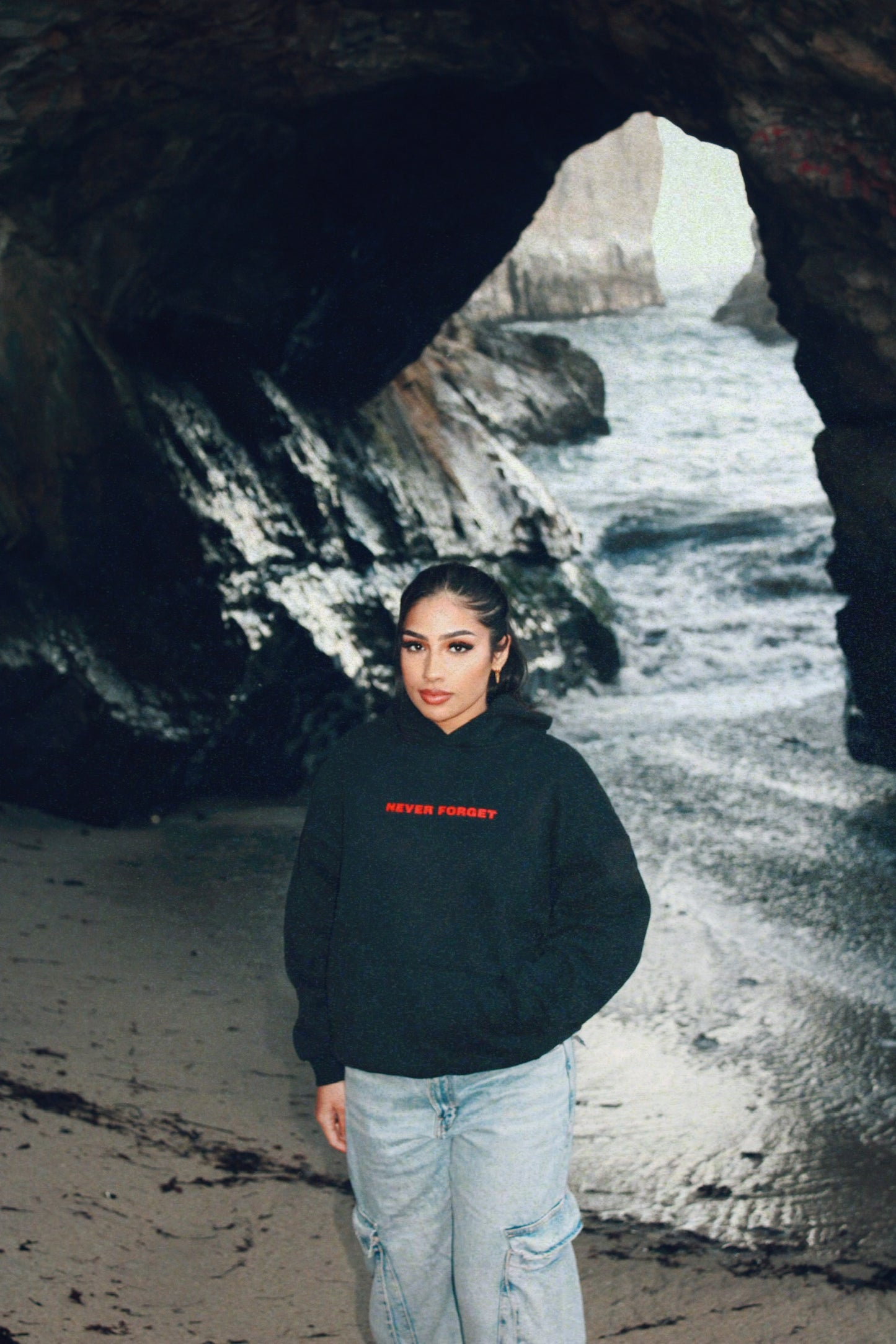 "Shastar" Hoodie
