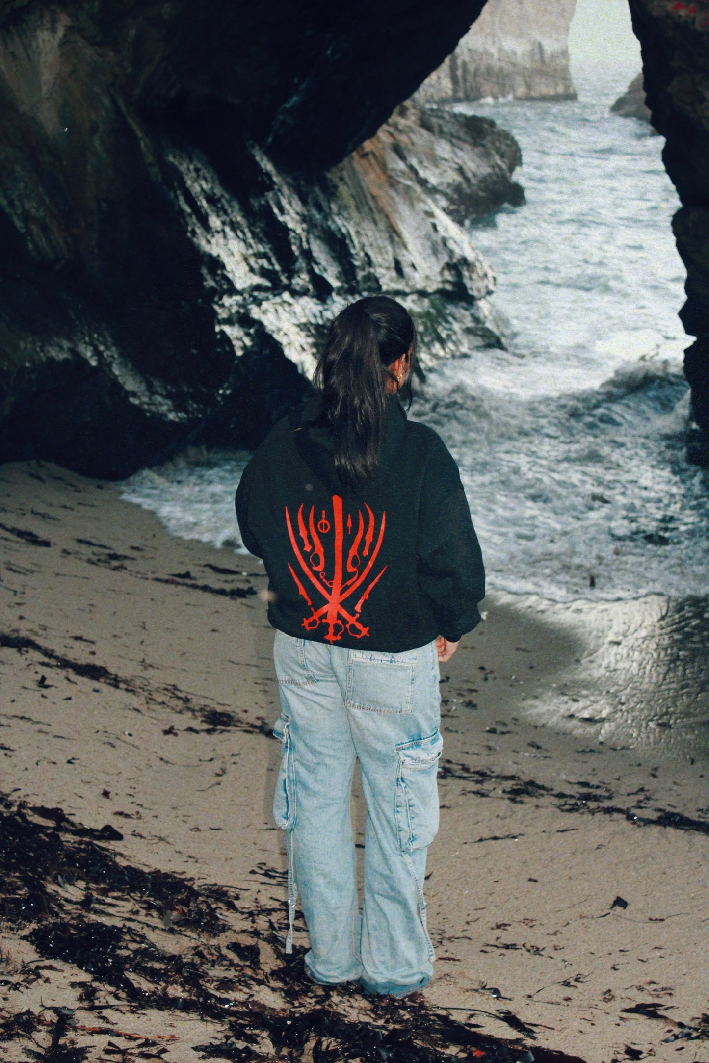 "Shastar" Hoodie